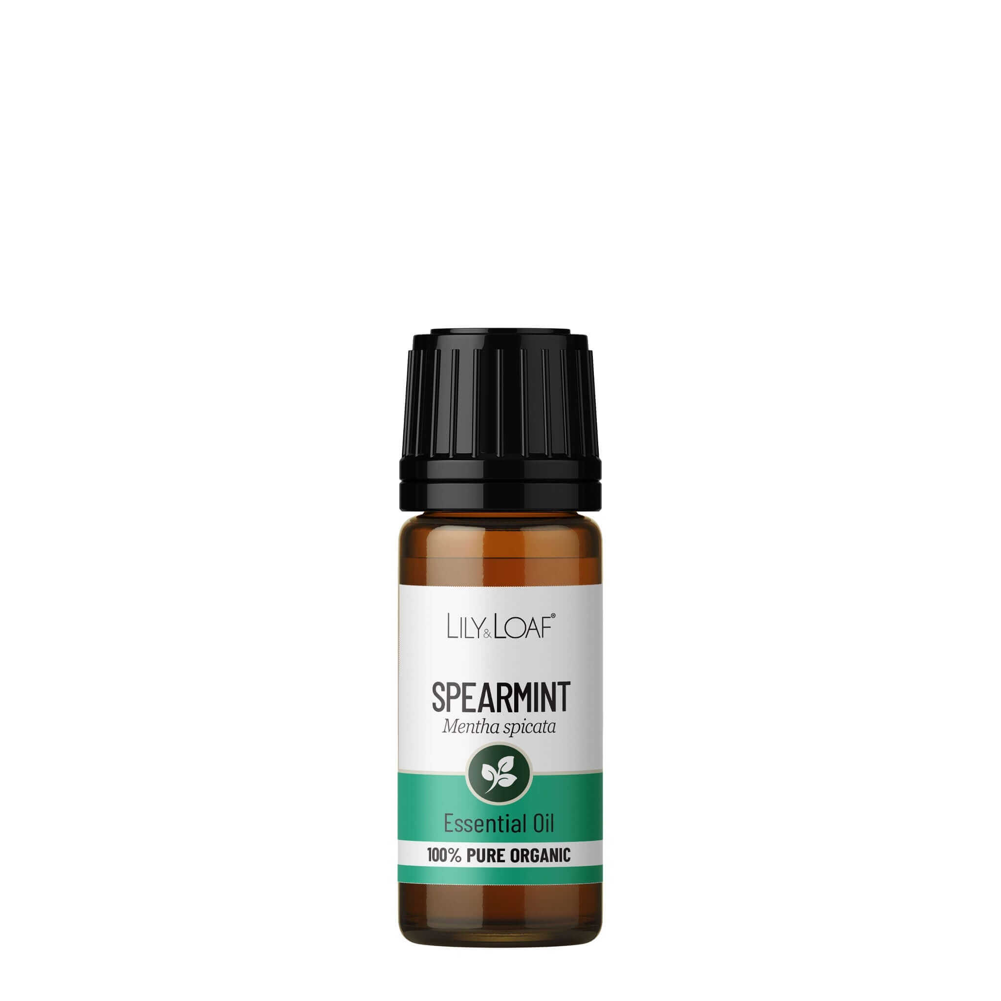 Spearmint Essential Oil