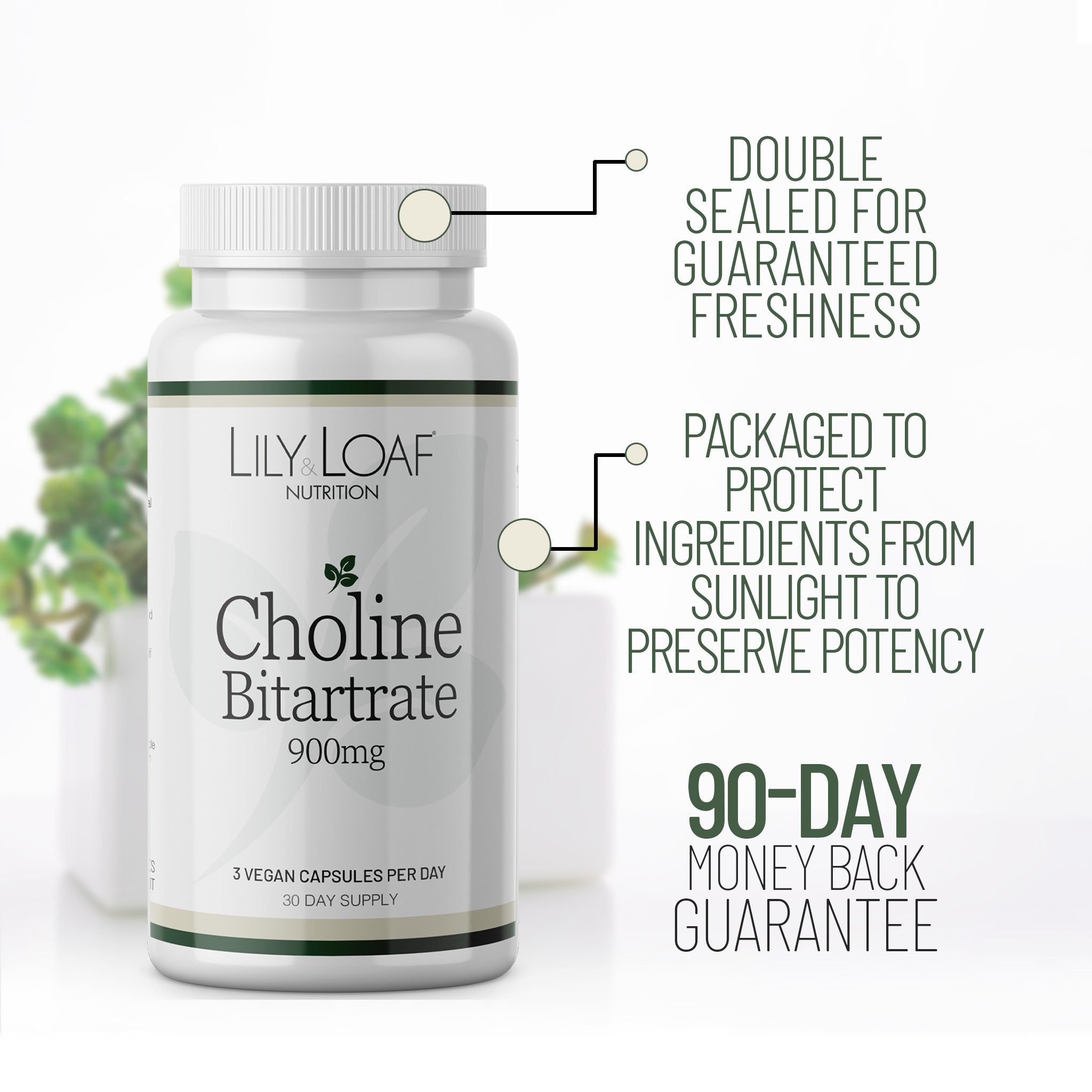 Choline Bitartrate