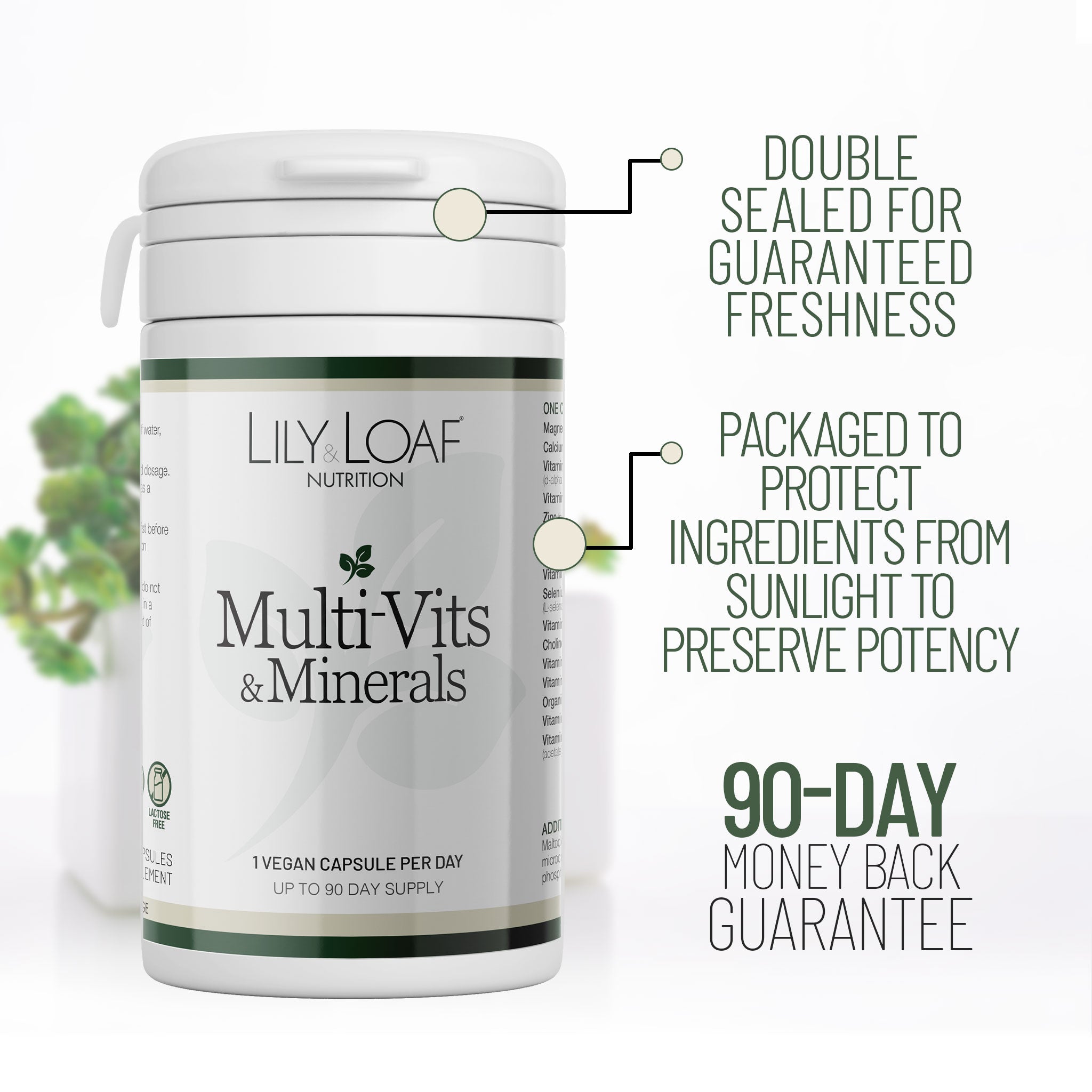 Multi-Vits & Minerals