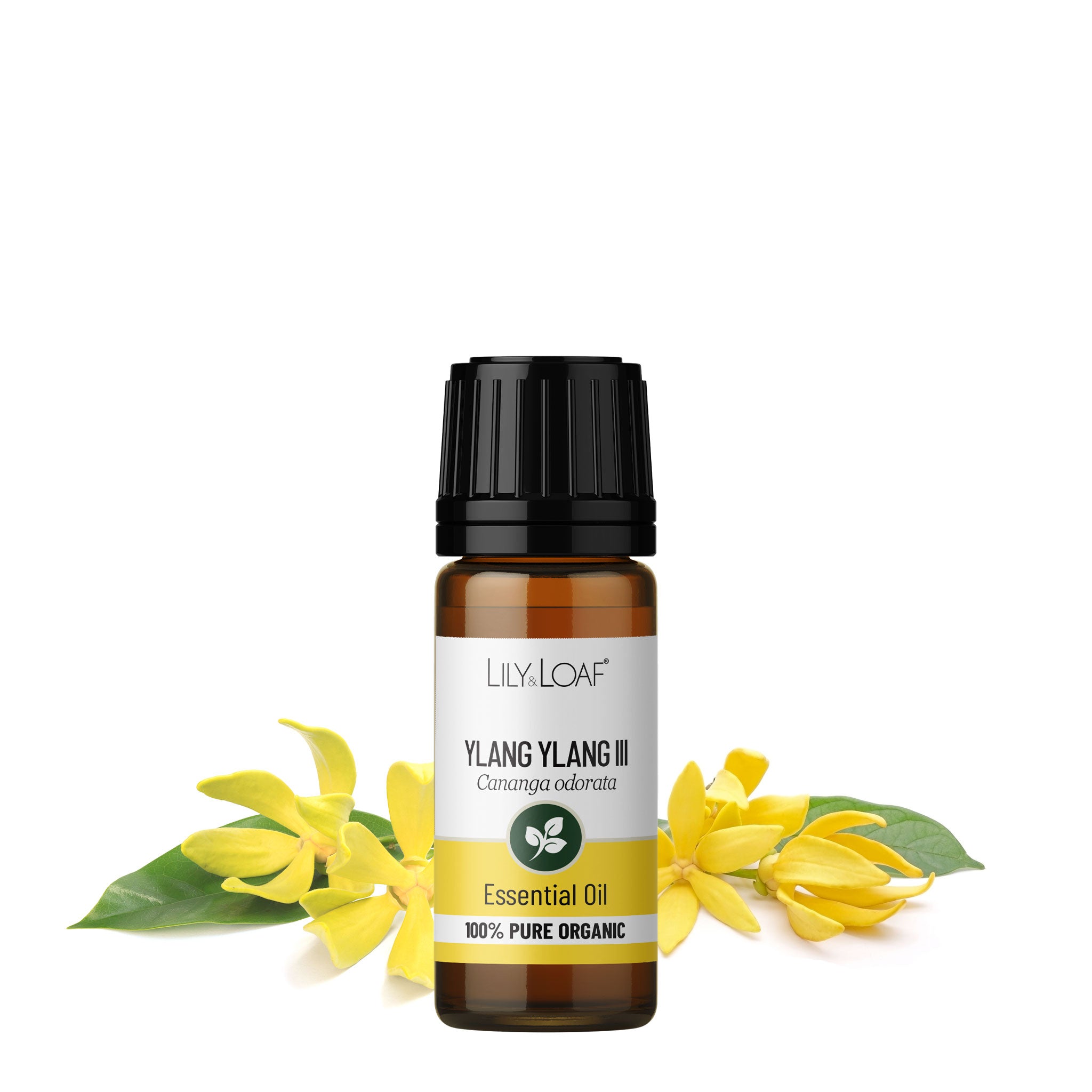 Ylang Ylang III Organic Essential Oil