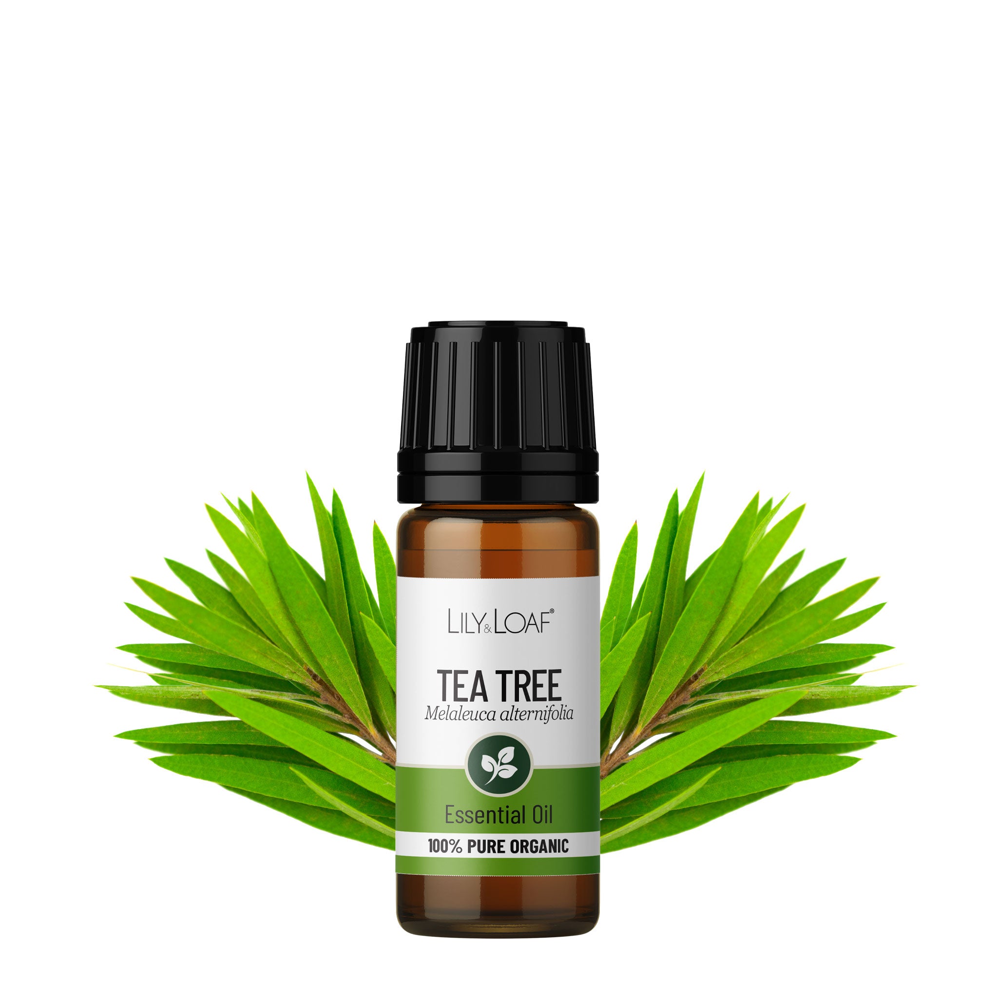 Tea Tree Organic Essential Oil