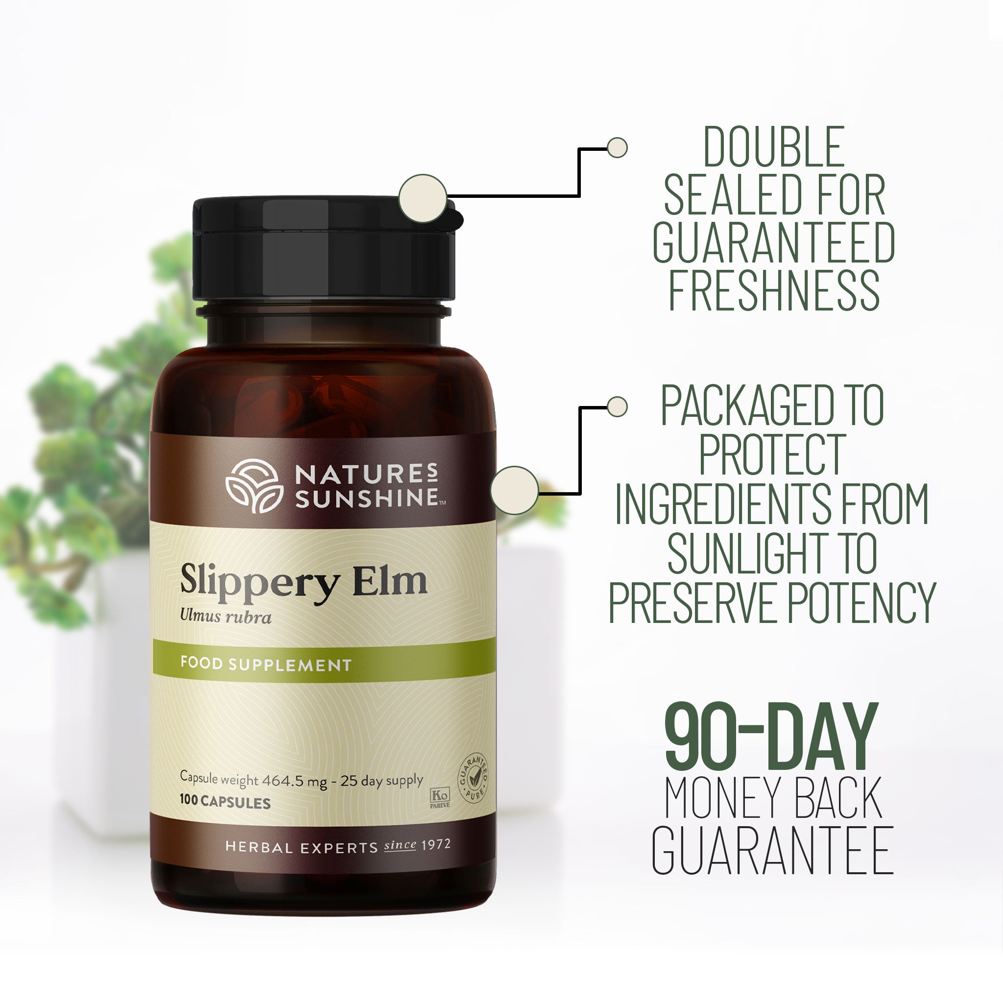 Slippery Elm