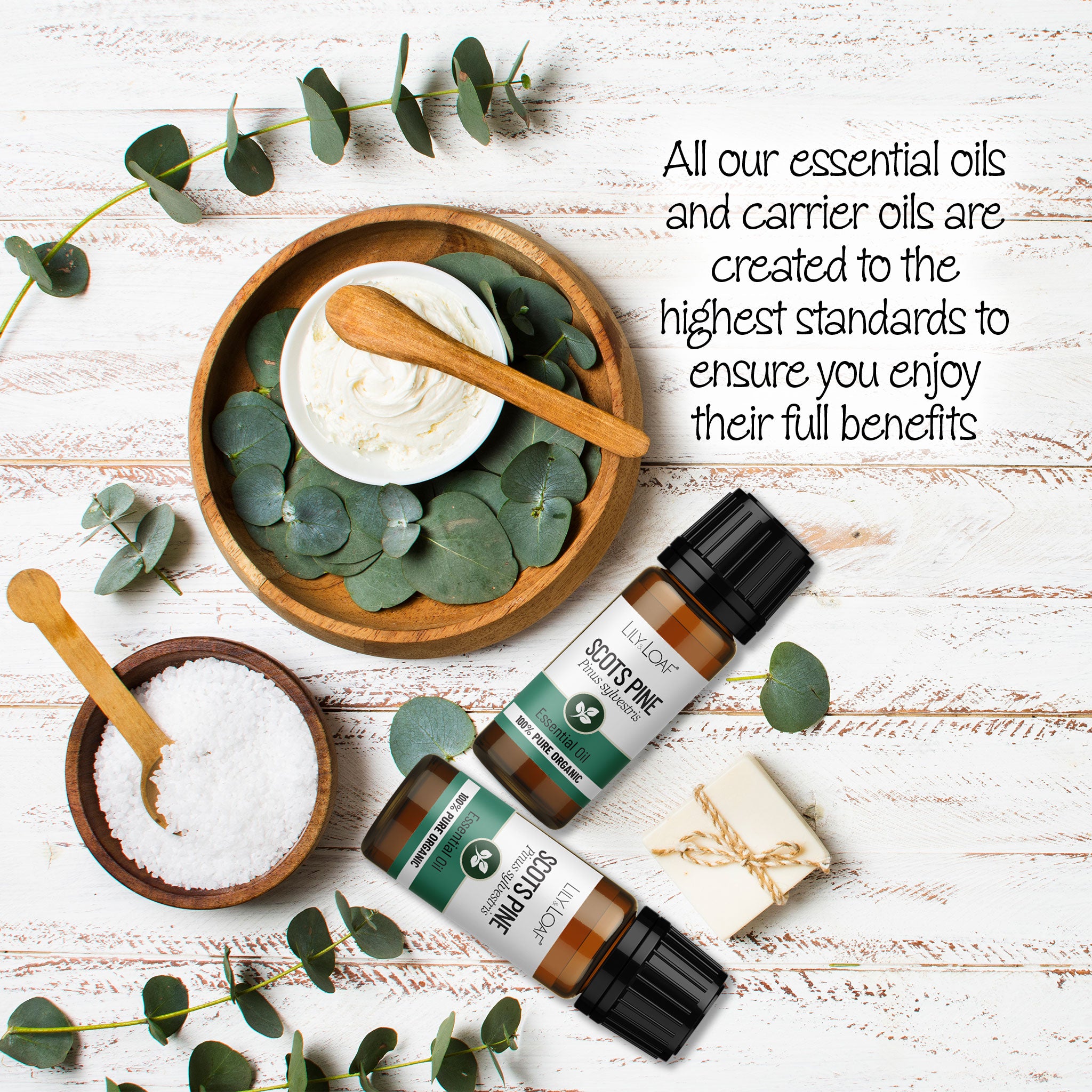 Scots Pine Organic Essential Oil