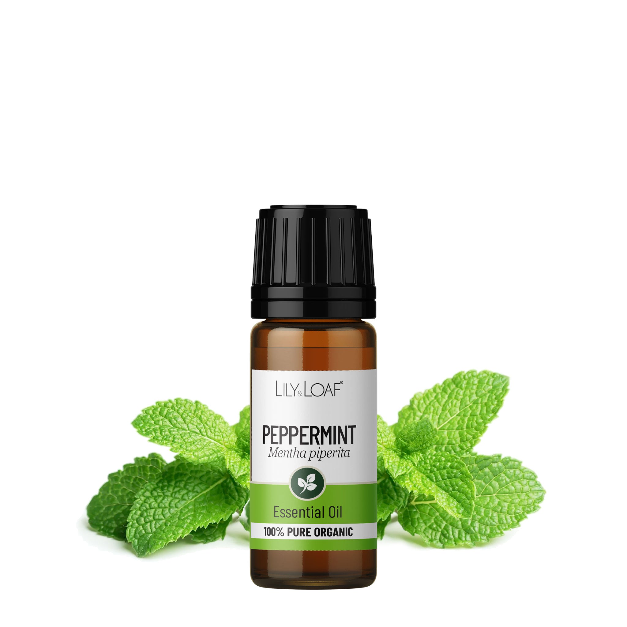 Peppermint Organic Essential Oil