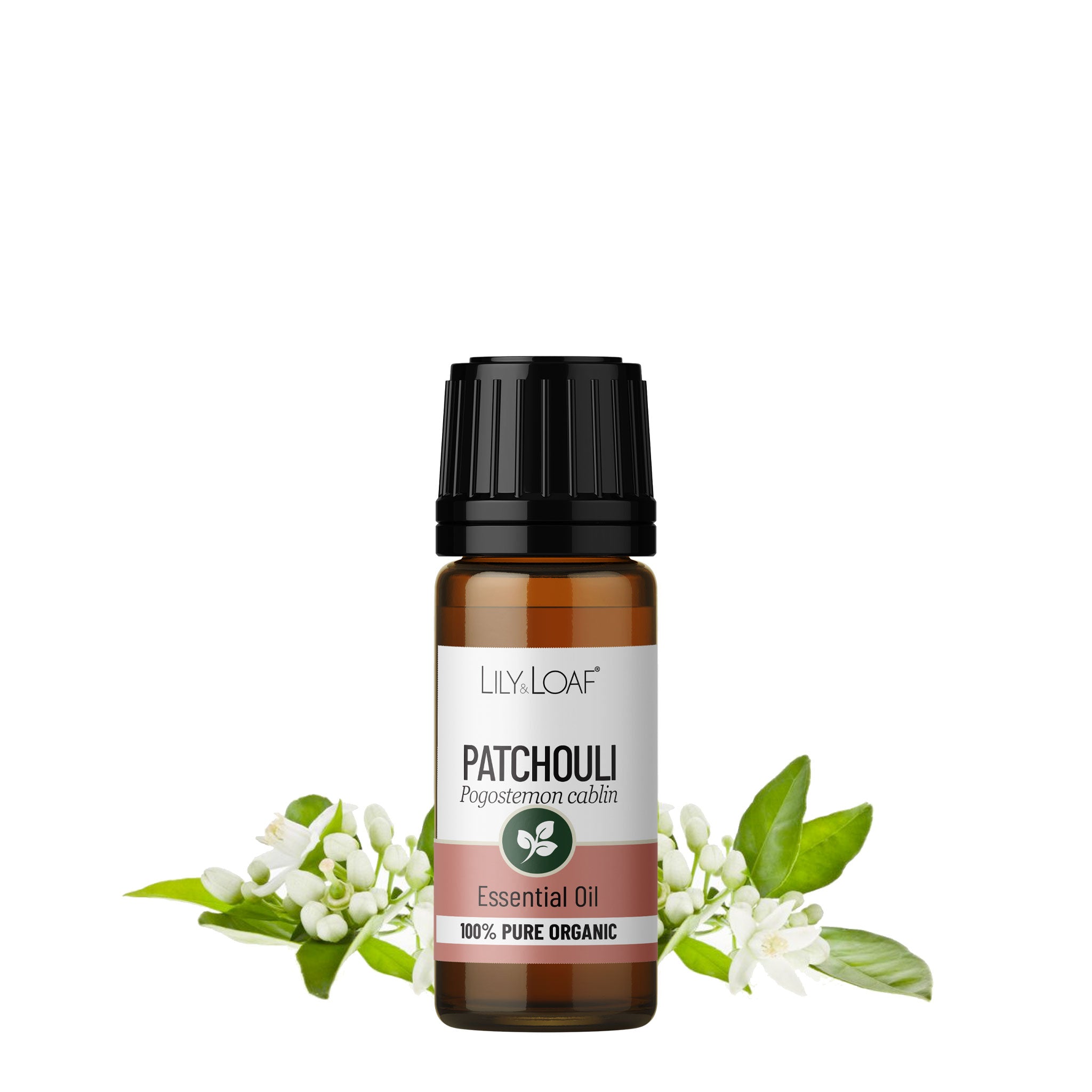 Patchouli Organic Essential Oil