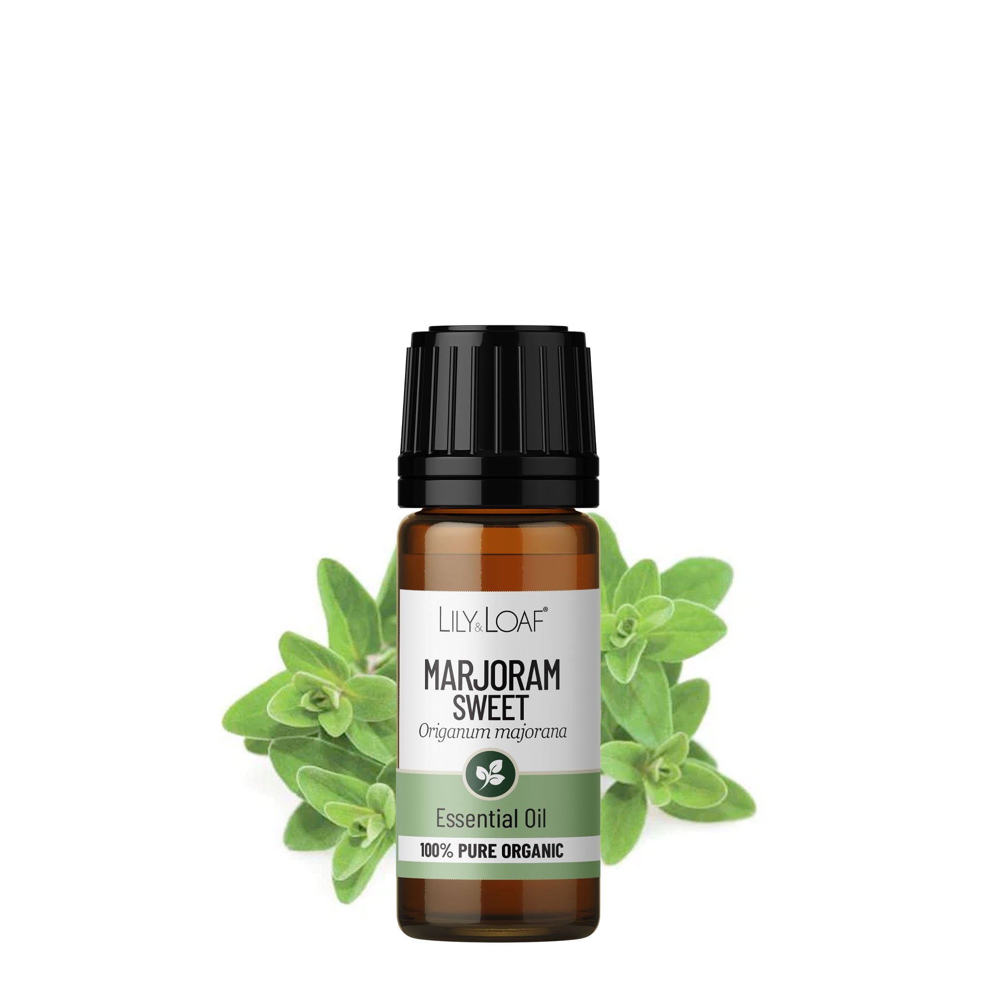 Marjoram (Sweet) Organic Essential Oil