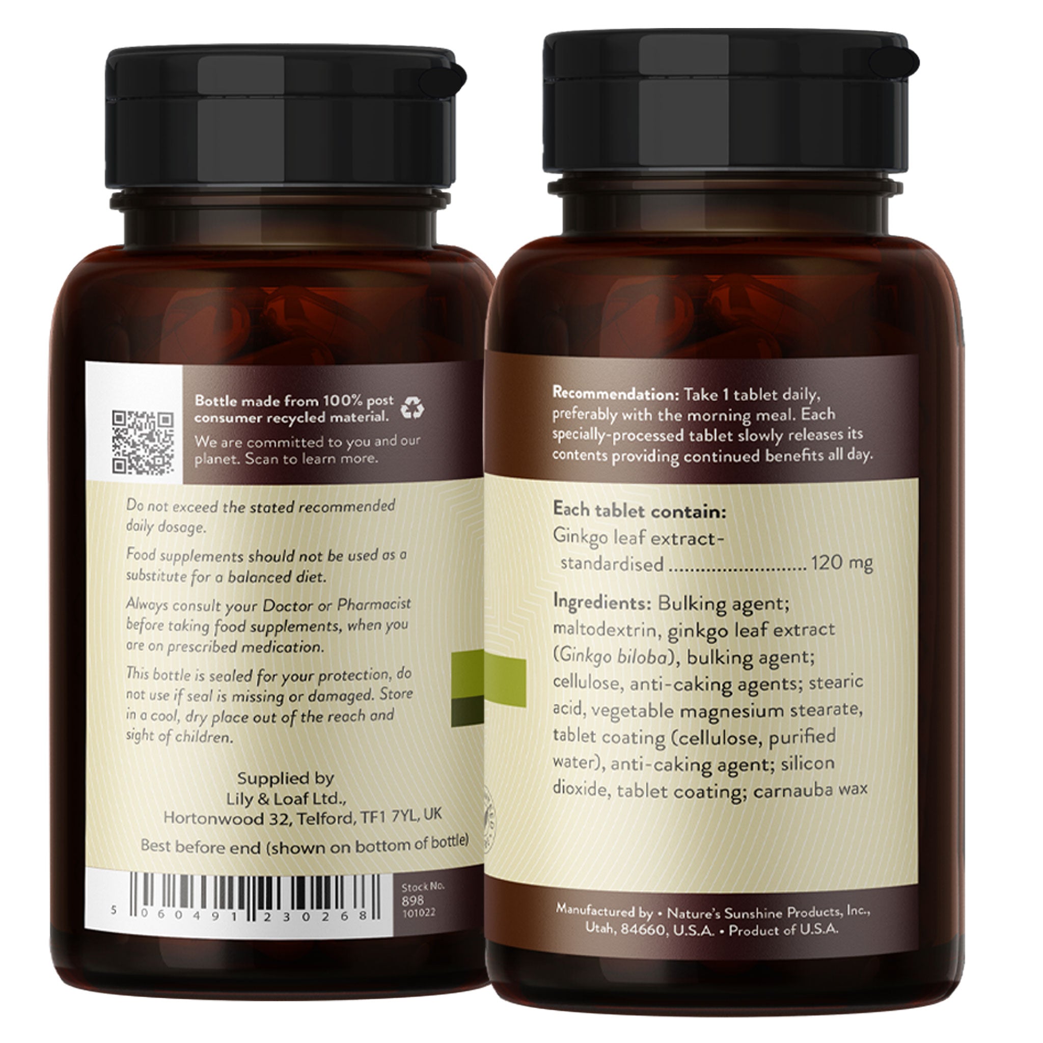 Ginkgo Biloba Extract - Timed Release