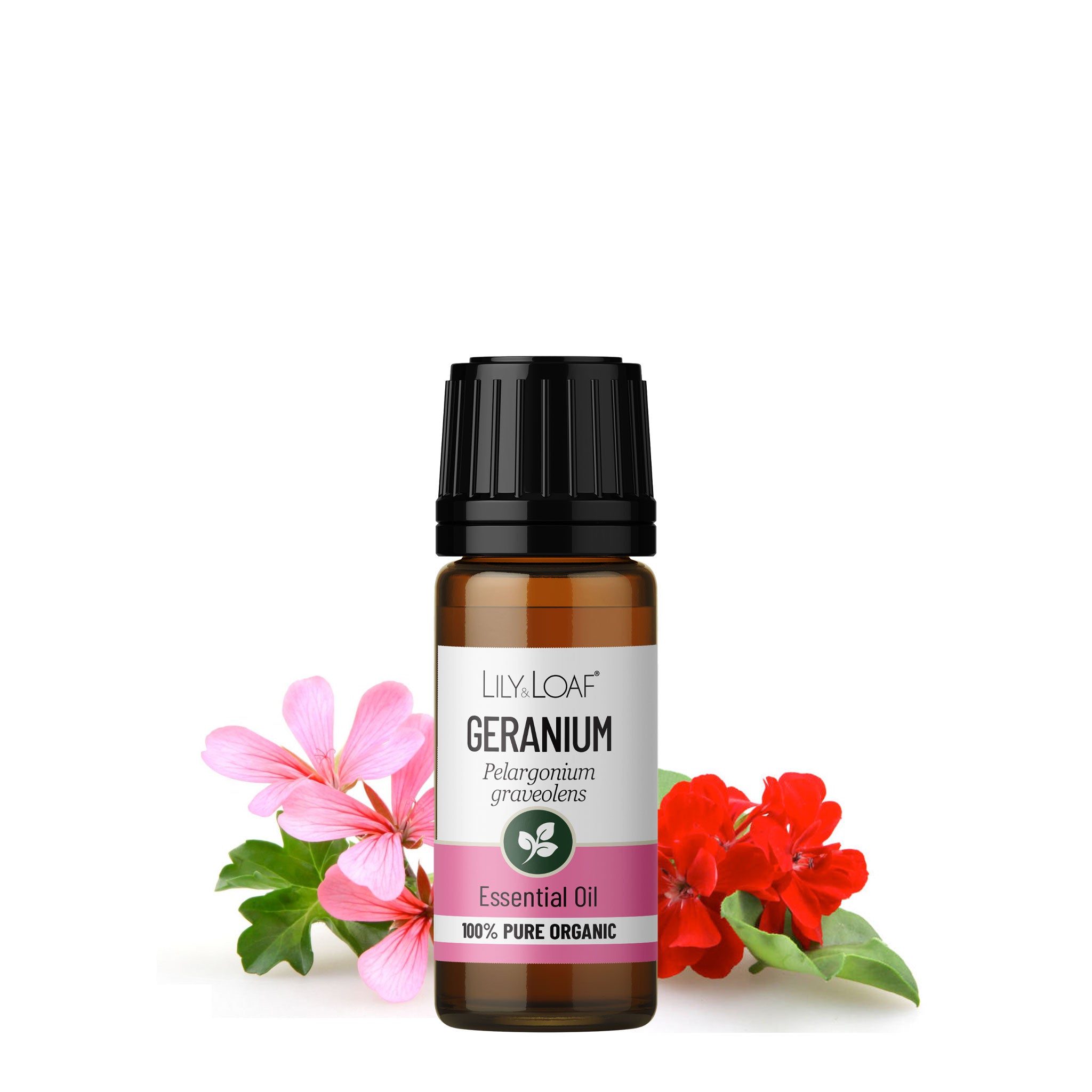 Geranium Organic Essential Oil
